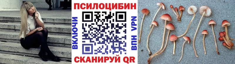 как найти закладки  omg вход  Псилоцибиновые грибы Cubensis  Плёс 
